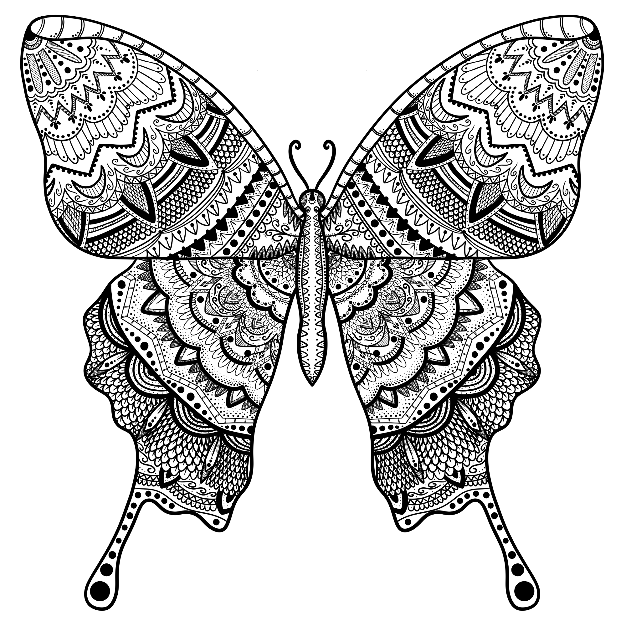 Mandala fluture